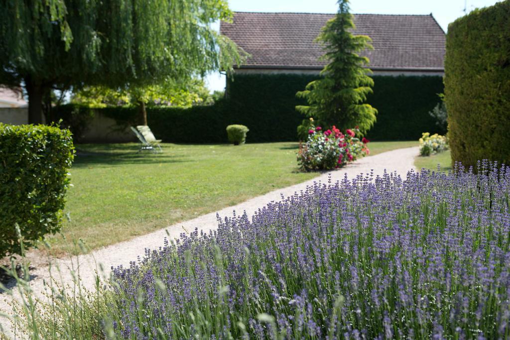 Hotel l'Orée Des Vignes Gilly-lès-Cîteaux Exterior foto