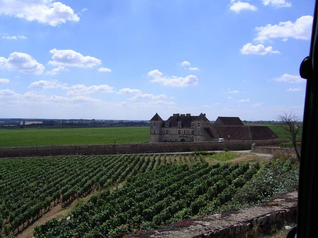 Hotel l'Orée Des Vignes Gilly-lès-Cîteaux Exterior foto